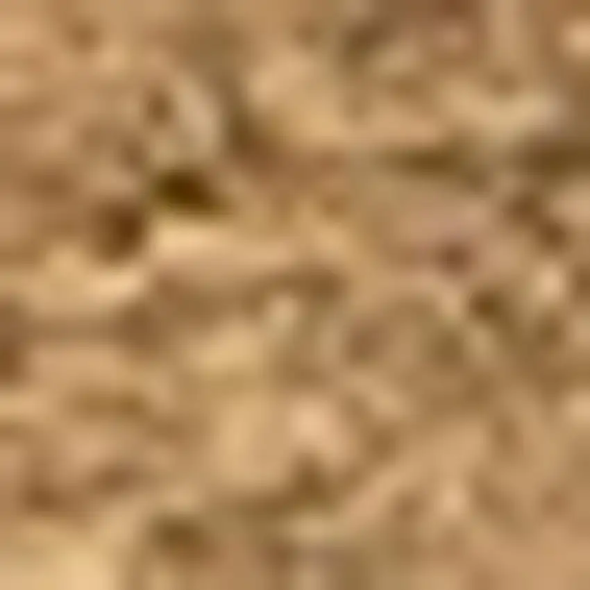 Light Brown Indoor Outdoor Area Rug Photo 2