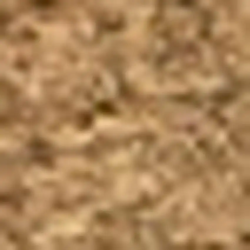 Light Brown Indoor Outdoor Area Rug Photo 3