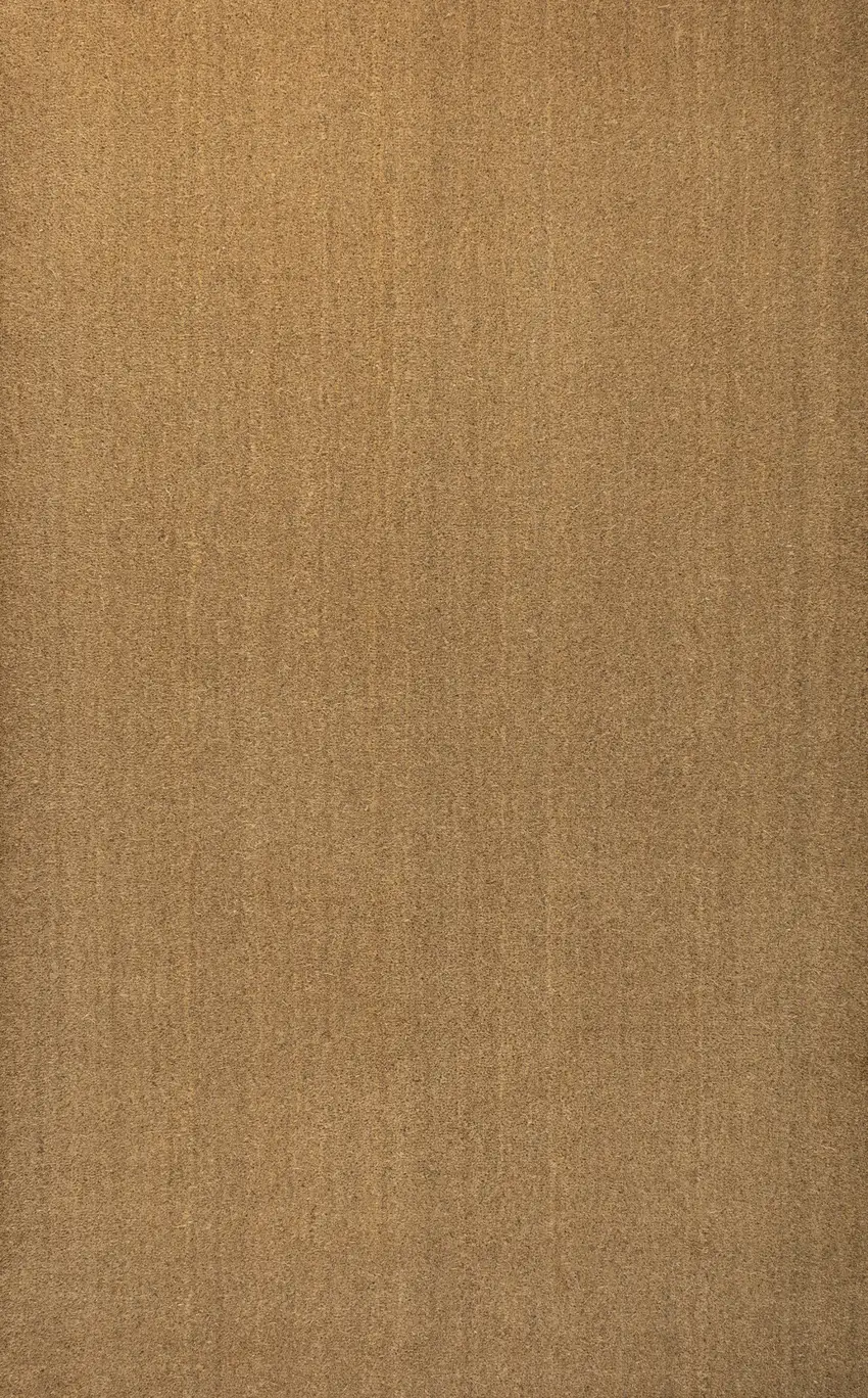 Light Brown Indoor Outdoor Area Rug Photo 2