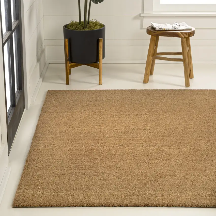 Light Brown Indoor Outdoor Area Rug Photo 3