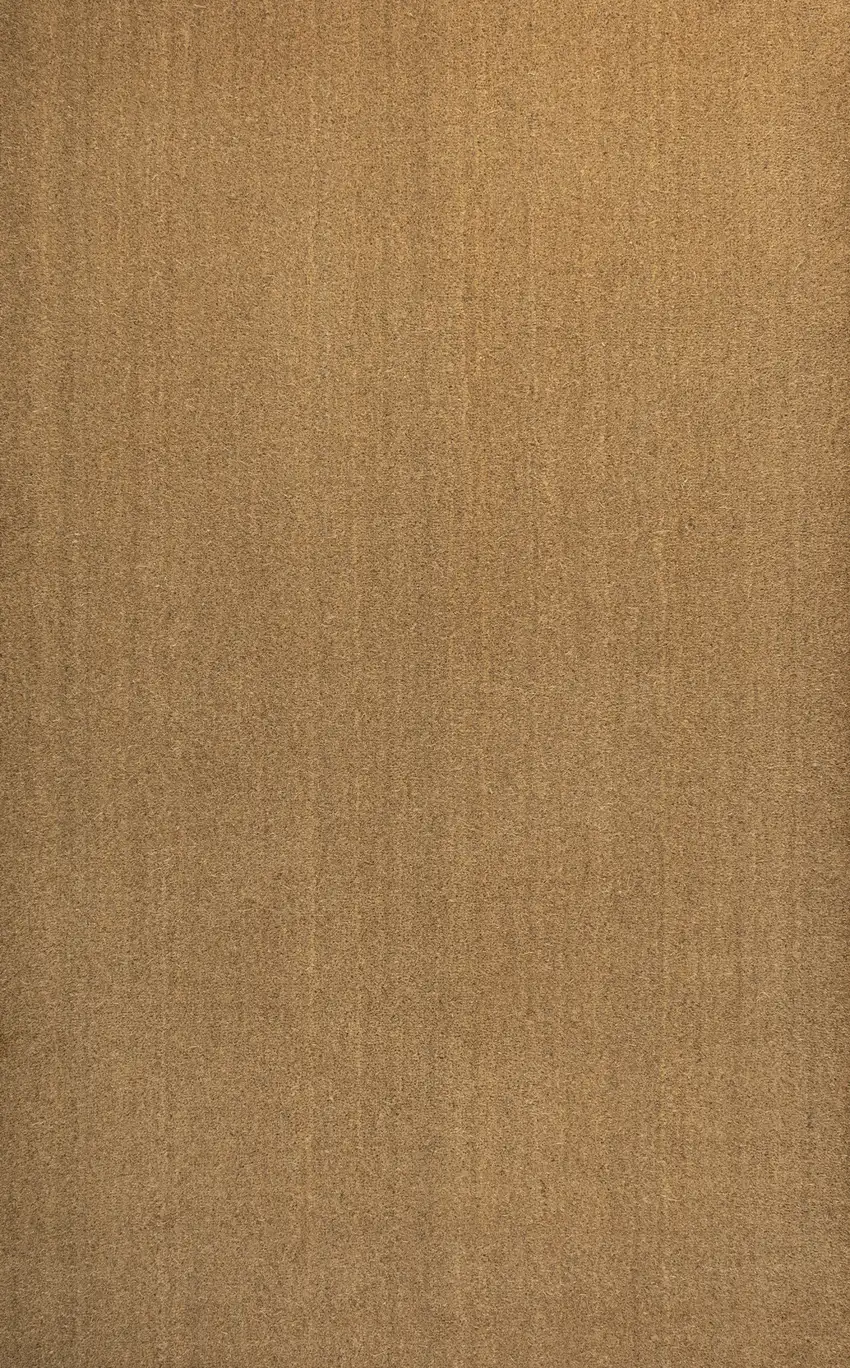 Light Brown Indoor Outdoor Area Rug Photo 1