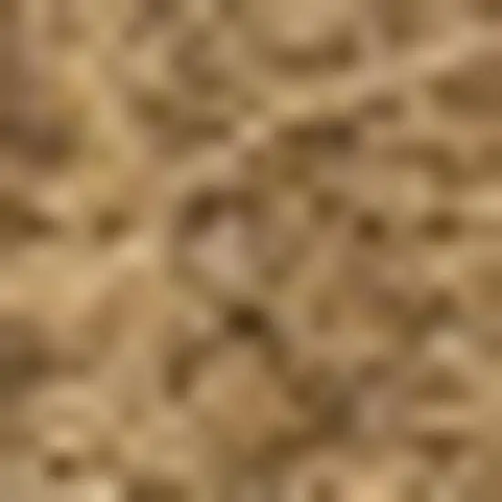Light Brown Indoor Outdoor Area Rug Photo 2