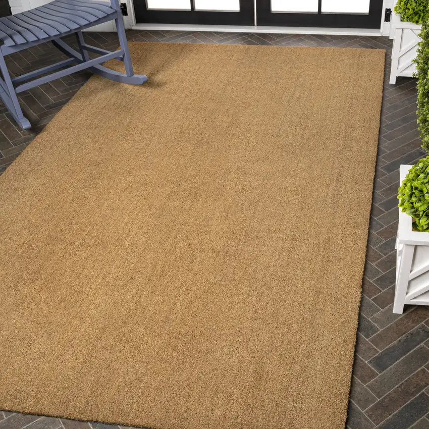 Light Brown Indoor Outdoor Area Rug Photo 7