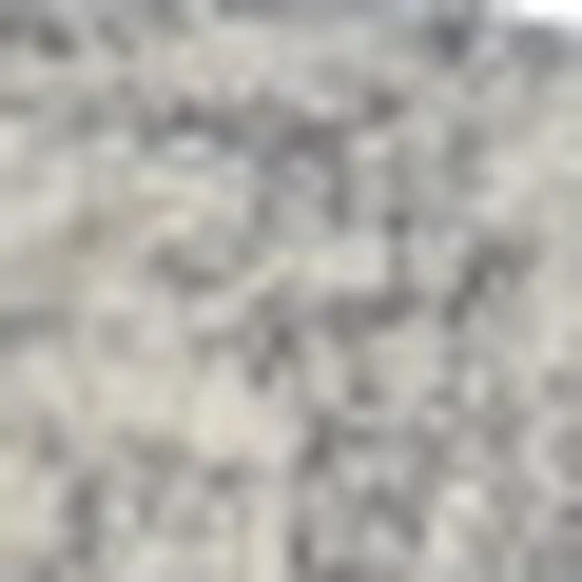 Light Gray And Beige Wool Floral Hand Tufted Area Rug Photo 4