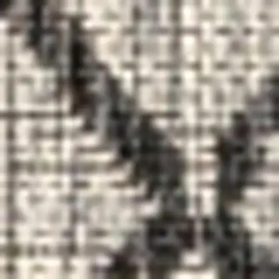 Light Gray And Black Trellis Indoor Outdoor Area Rug Photo 2