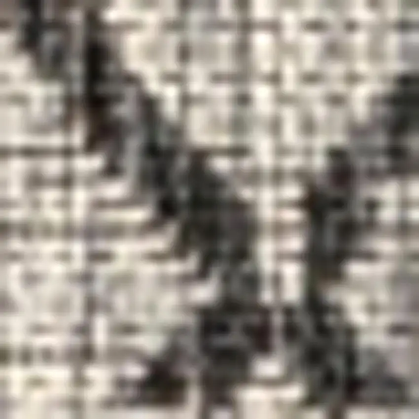 Light Gray And Black Trellis Indoor Outdoor Area Rug Photo 2