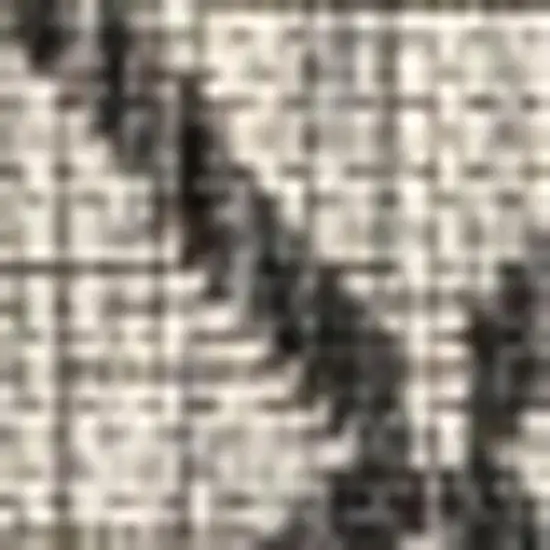 Light Gray And Black Trellis Indoor Outdoor Area Rug Photo 2