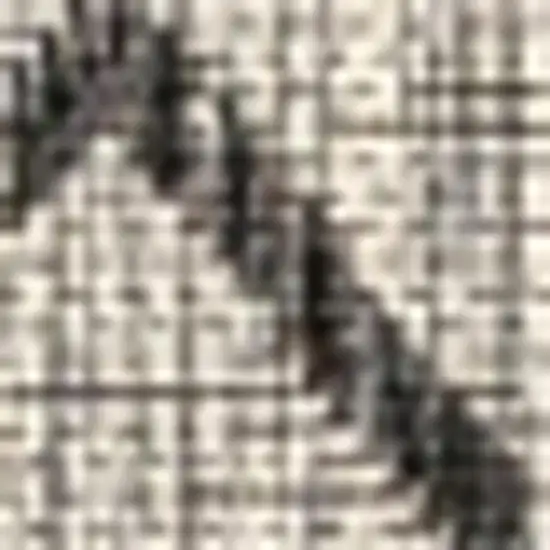 Light Gray And Black Trellis Indoor Outdoor Area Rug Photo 2