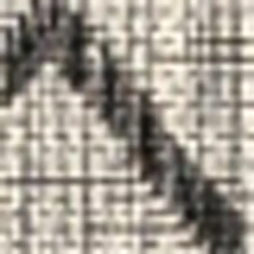 Light Gray And Black Trellis Indoor Outdoor Area Rug Photo 2