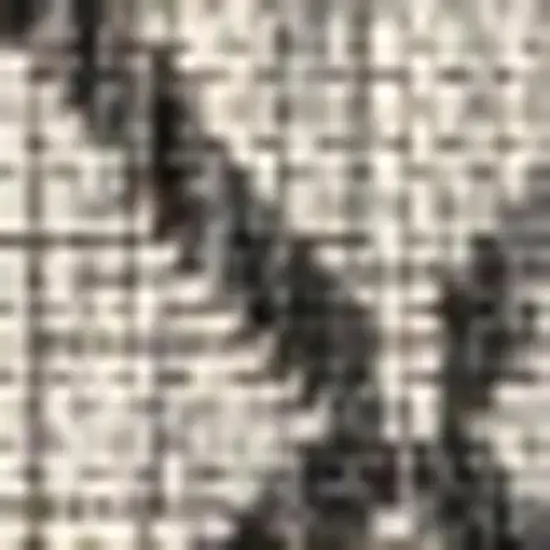 Light Gray And Black Trellis Indoor Outdoor Area Rug Photo 2