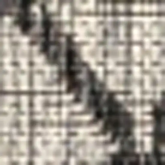 Light Gray And Black Trellis Indoor Outdoor Area Rug Photo 2