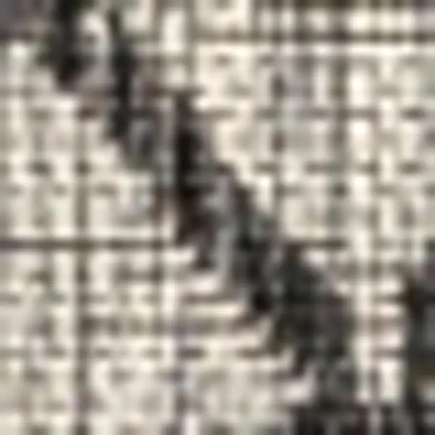 Light Gray And Black Trellis Indoor Outdoor Area Rug Photo 2