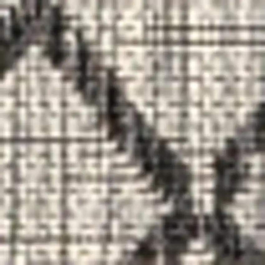 Light Gray And Black Trellis Indoor Outdoor Area Rug Photo 3