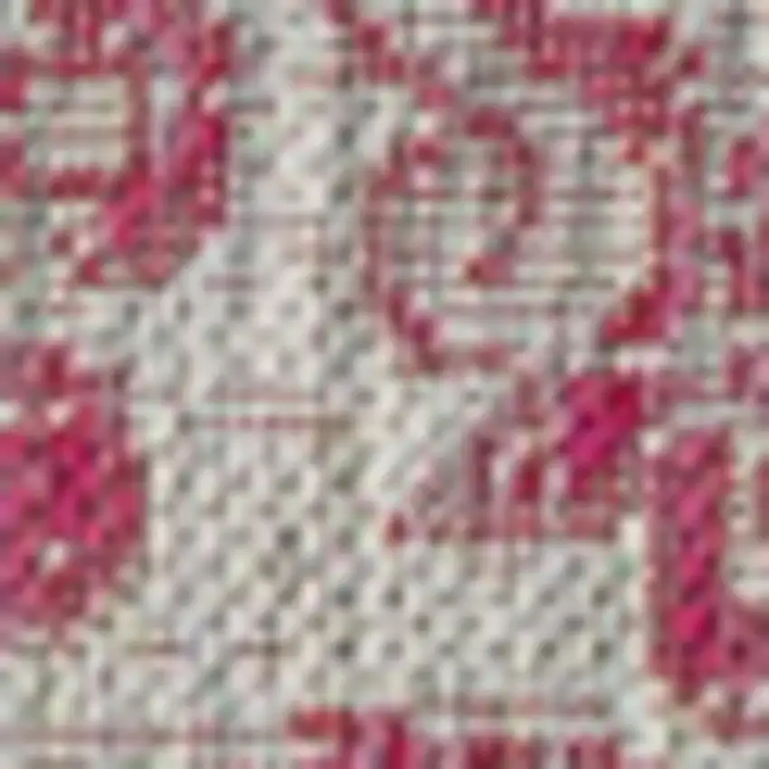 Light Gray And Fuchsia Medallion Indoor Outdoor Area Rug Photo 2