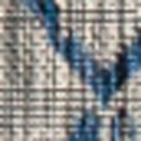 Light Gray And Navy Blue Trellis Indoor Outdoor Area Rug Photo 2