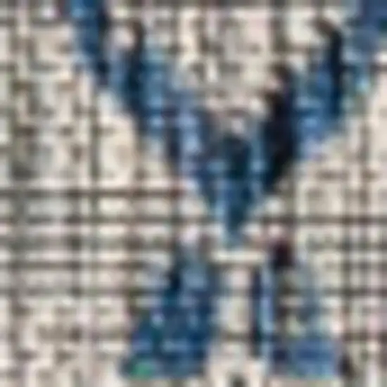 Light Gray And Navy Blue Trellis Indoor Outdoor Area Rug Photo 2