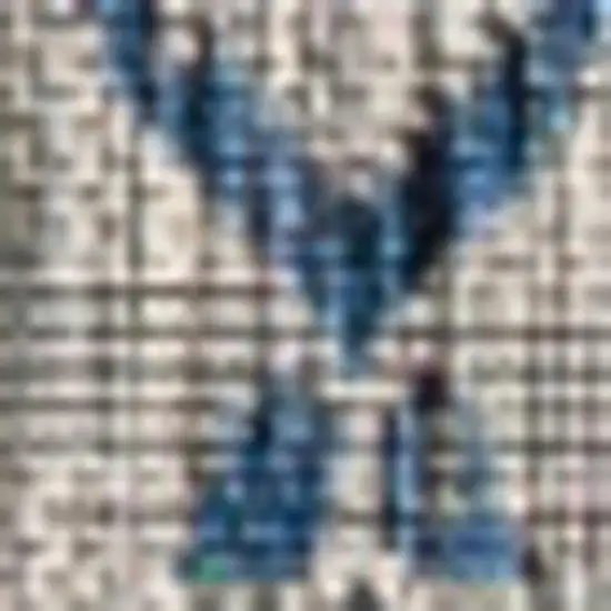 Light Gray And Navy Blue Trellis Indoor Outdoor Area Rug Photo 2