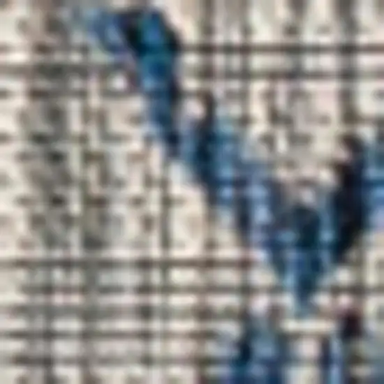 Light Gray And Navy Blue Trellis Indoor Outdoor Area Rug Photo 2