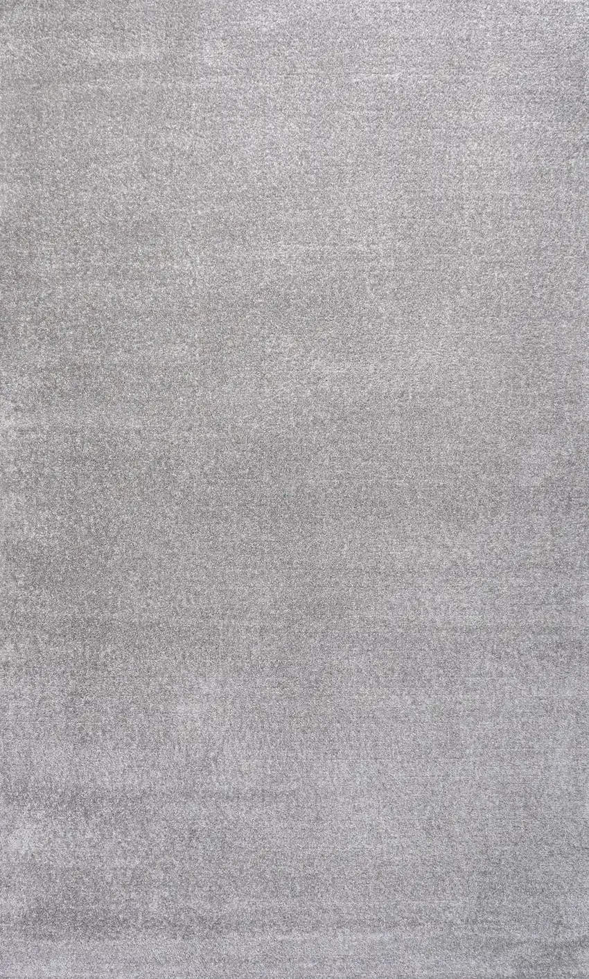 Light Gray Area Rug Photo 1