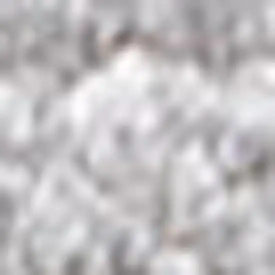 Light Gray Area Rug Photo 3