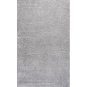 Photo of Light Gray Area Rug