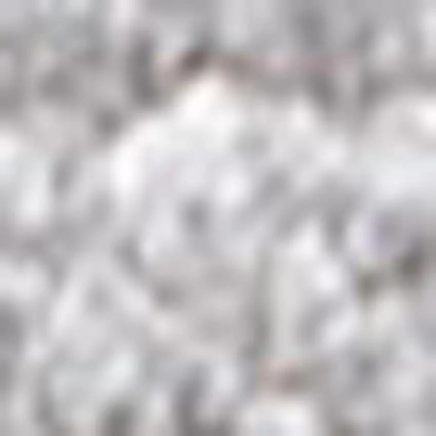 Light Gray Area Rug Photo 4