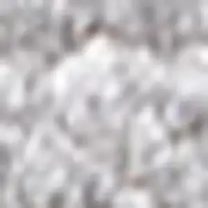 Photo of Light Gray Area Rug