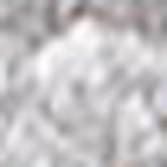 Light Gray Area Rug Photo 3