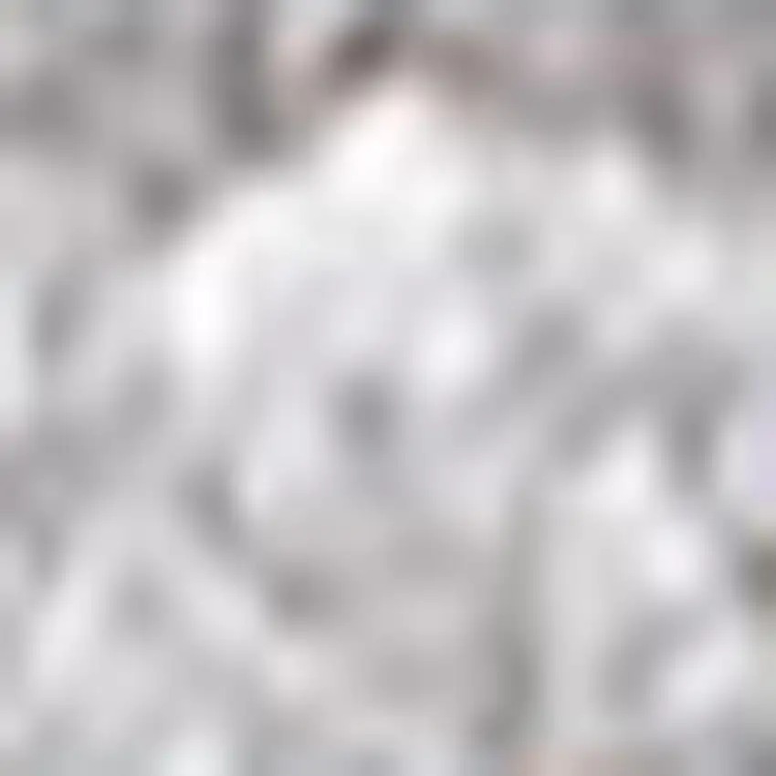 Light Gray Area Rug Photo 3