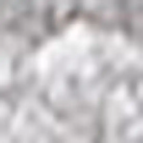 Light Gray Area Rug Photo 4