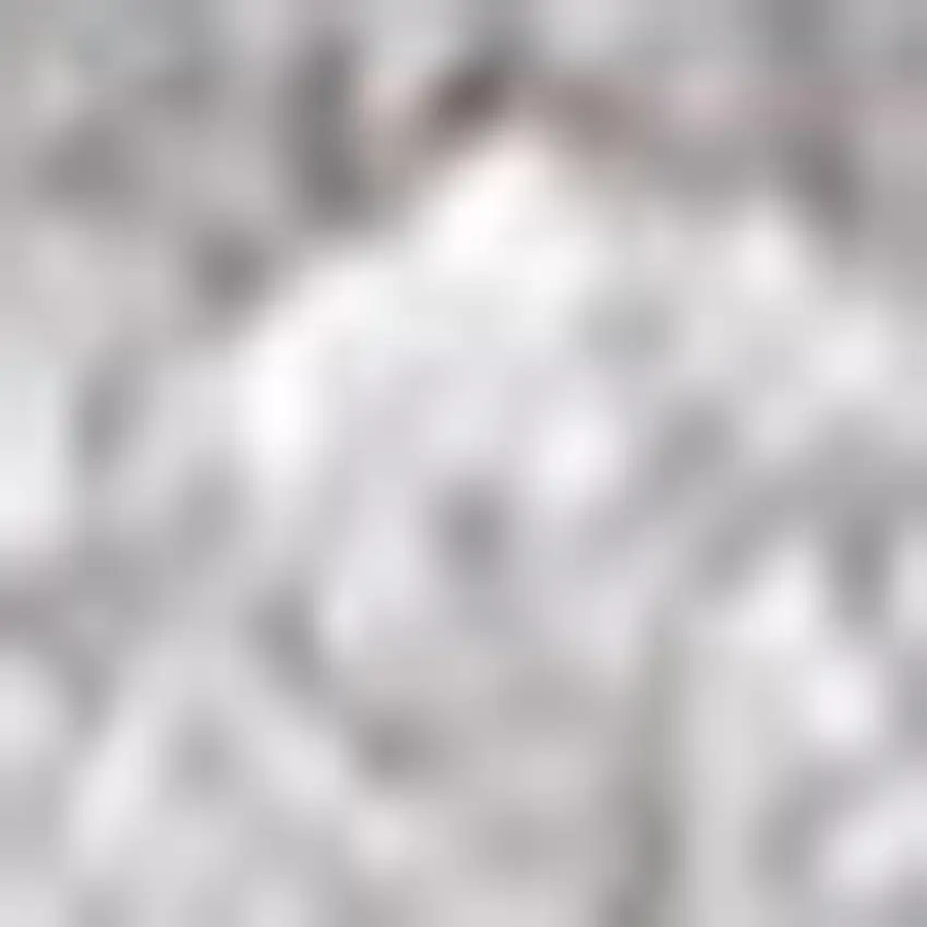 Light Gray Area Rug Photo 4