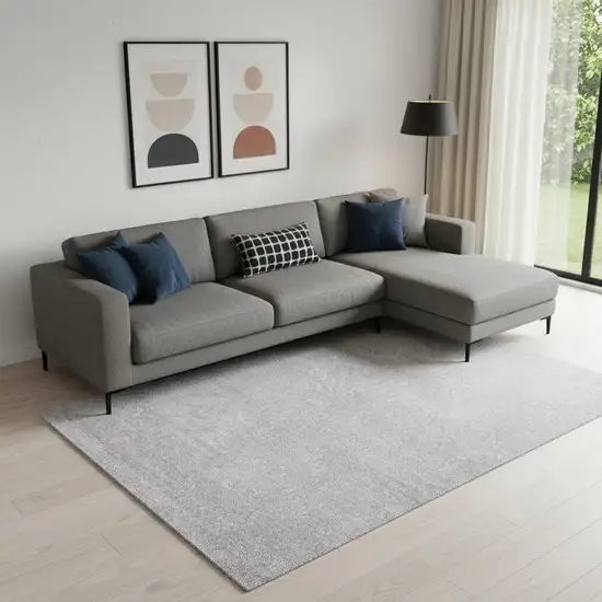 Light Gray Area Rug Photo 2