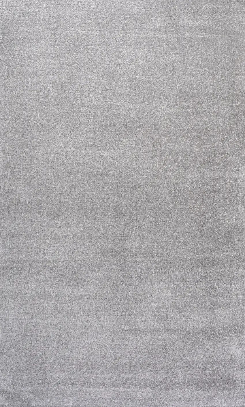 Light Gray Area Rug Photo 4