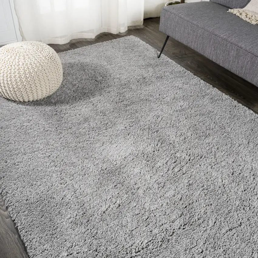 Light Gray Area Rug Photo 4