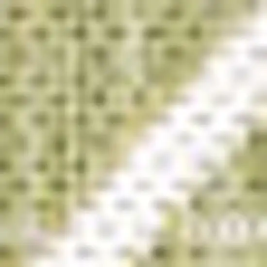 Light Green And Cream Trellis Indoor Outdoor Area Rug Photo 2