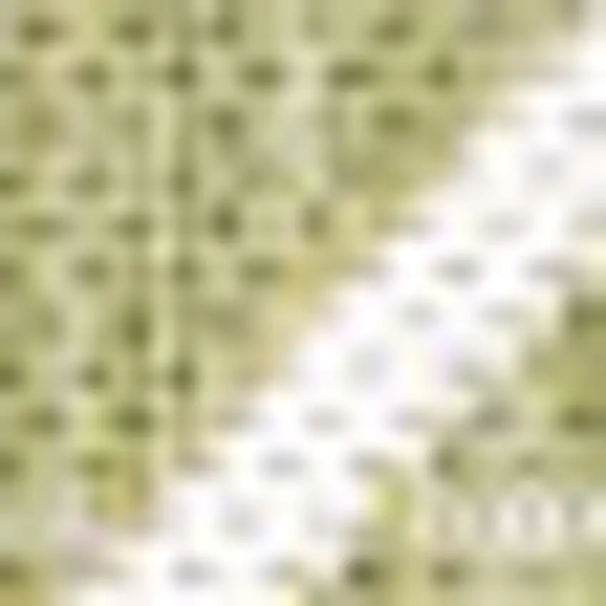 Light Green And Cream Trellis Indoor Outdoor Area Rug Photo 2