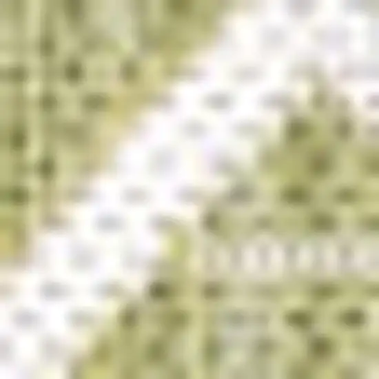 Light Green And Cream Trellis Indoor Outdoor Area Rug Photo 2