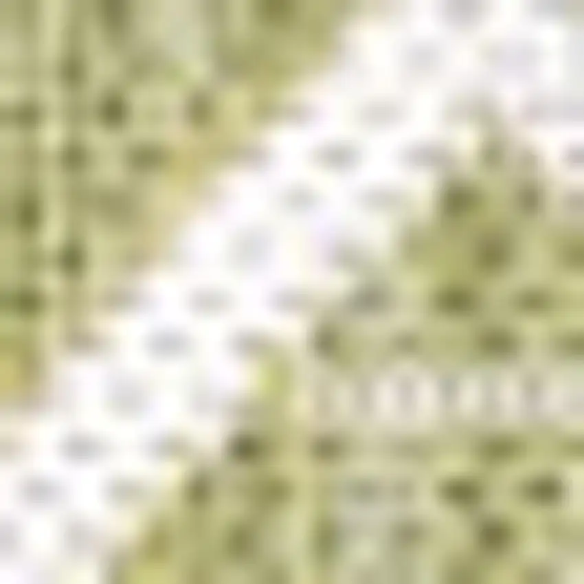 Light Green And Cream Trellis Indoor Outdoor Area Rug Photo 2