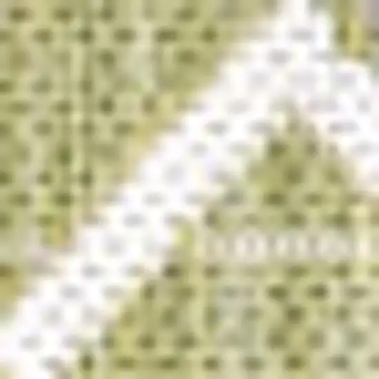 Light Green And Cream Trellis Indoor Outdoor Area Rug Photo 2