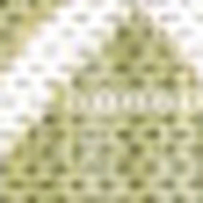 Light Green And Cream Trellis Indoor Outdoor Area Rug Photo 2