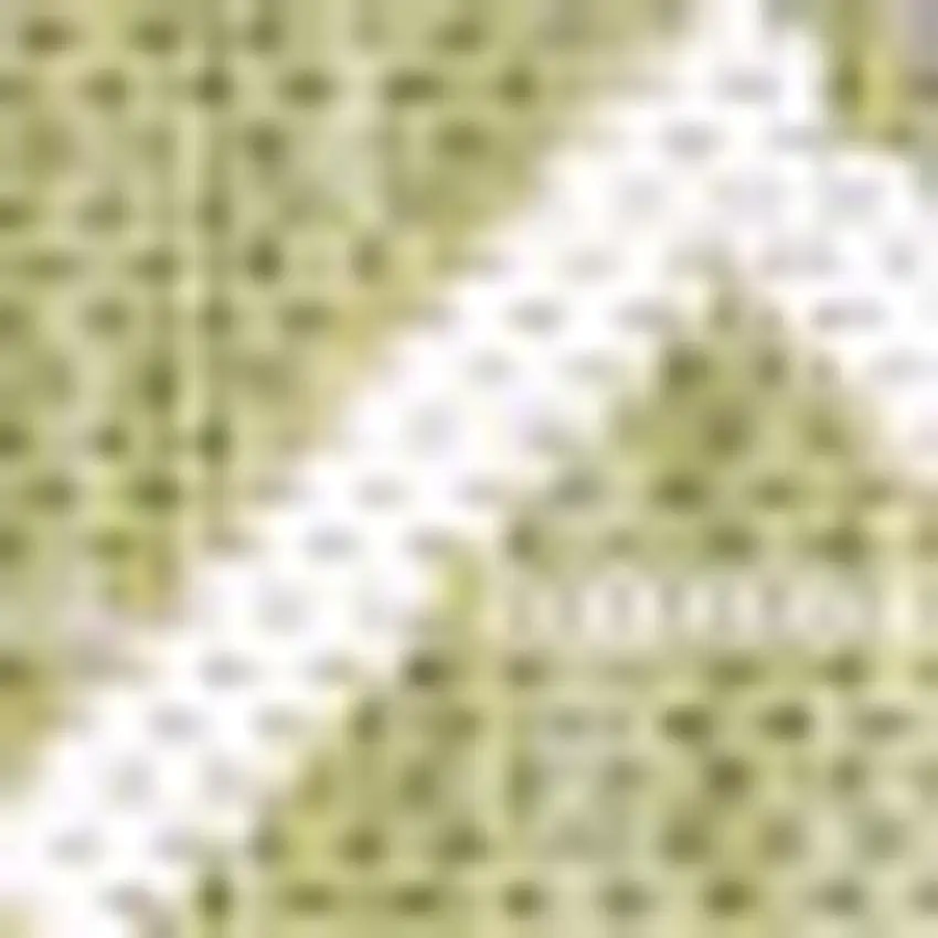 Light Green And Cream Trellis Indoor Outdoor Area Rug Photo 3