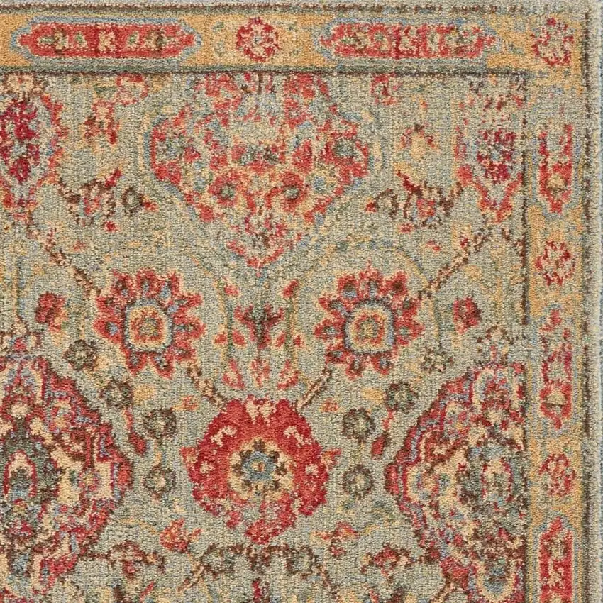 Light Green Tan And Red Floral Distressed Non Skid Area Rug Photo 4