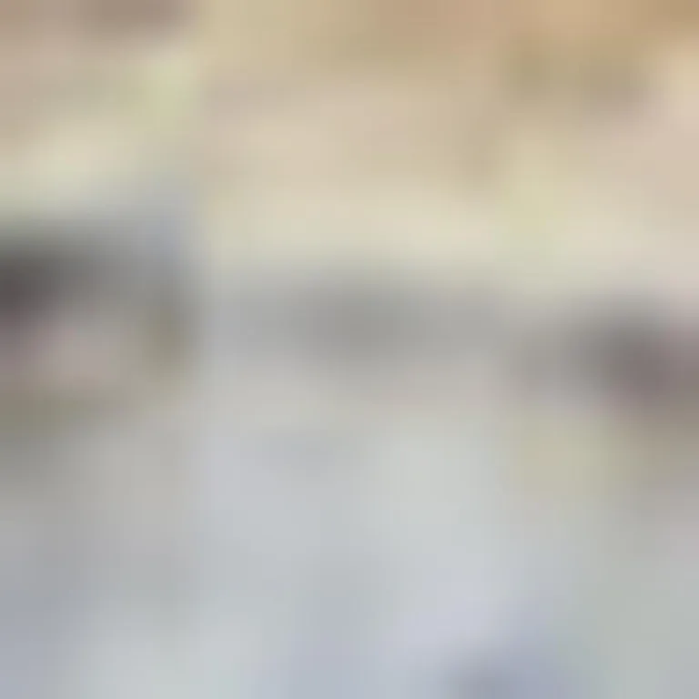 Light Grey And Blue Oriental Power Loom Distressed Washable Area Rug Photo 5