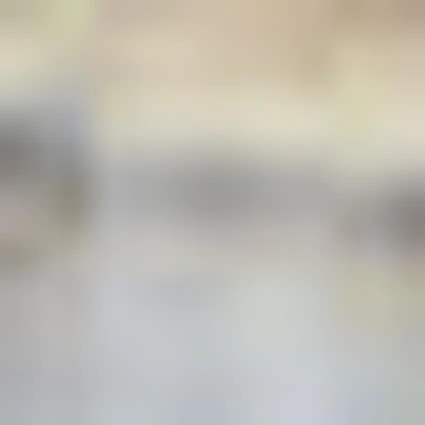 Light Grey And Blue Oriental Power Loom Distressed Washable Area Rug Photo 1