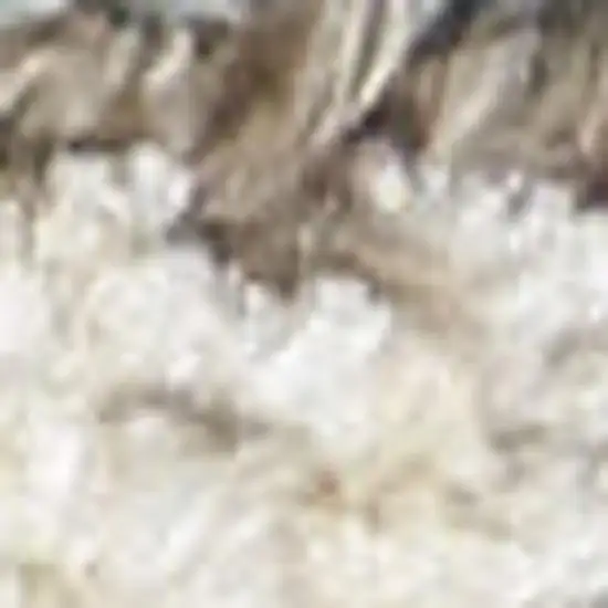 Light Sky Blue Floral Power Loom Distressed Area Rug Photo 2