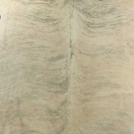 Light Taupe and Brown Exotic Cowhide  Rug Photo 1