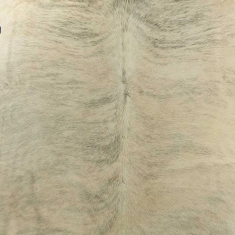 Light Taupe and Brown Exotic Cowhide  Rug Photo 1