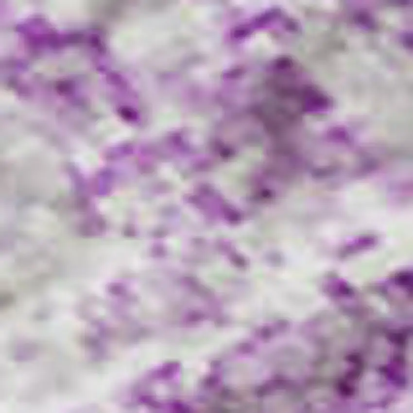 Lilac And Ivory Abstract Washable Area Rug With UV Protection Photo 2