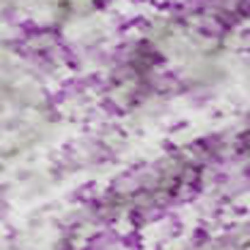 Lilac And Ivory Abstract Washable Area Rug With UV Protection Photo 2