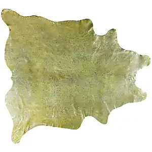 Photo of Lime and Silver Cowhide - Area Rug
